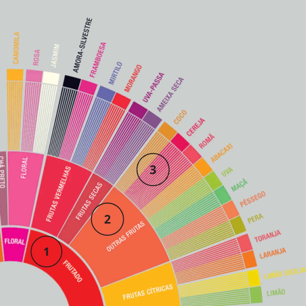 Afinal Como Usar A Roda De Sabores E Aromas Do Caf Caf S Do Brasil