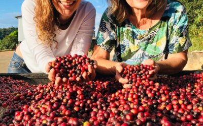 Fazenda das Amoras