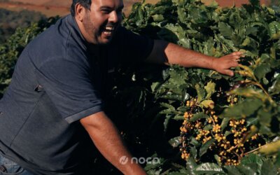 Fazenda Roseira
