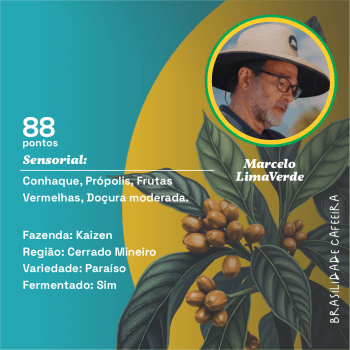 Fazenda Kaizen - Fevereiro/2025