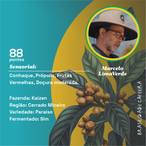 Fazenda Kaizen - Fevereiro/2025