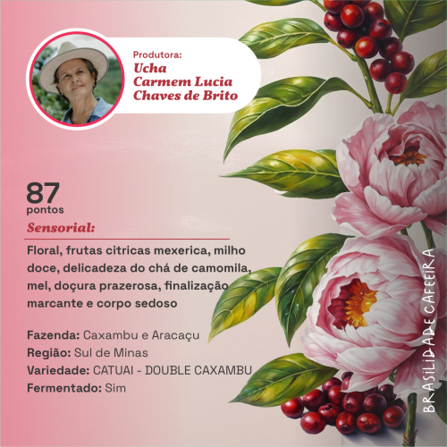 Fazenda Caxambú e Aracaçu - Edição Especial Mulheres - Março/2025