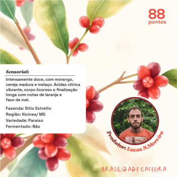 Sítio Estreito - Maio/2025