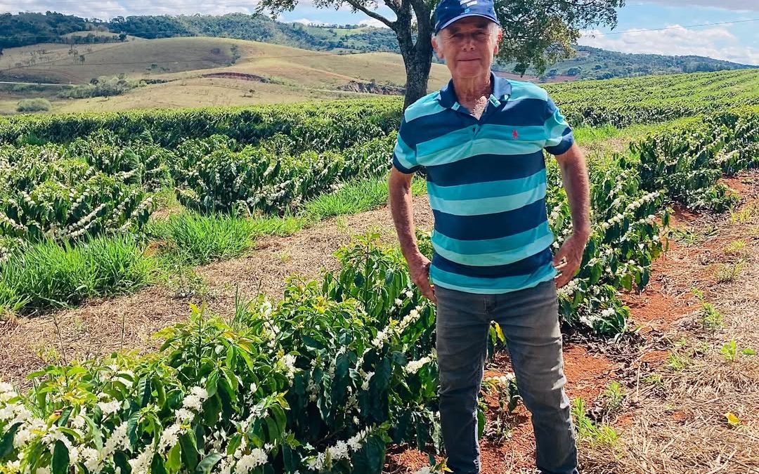 Fazenda Alexandrina