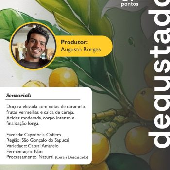 Fazenda Capadocia Catuai - Junho 2025