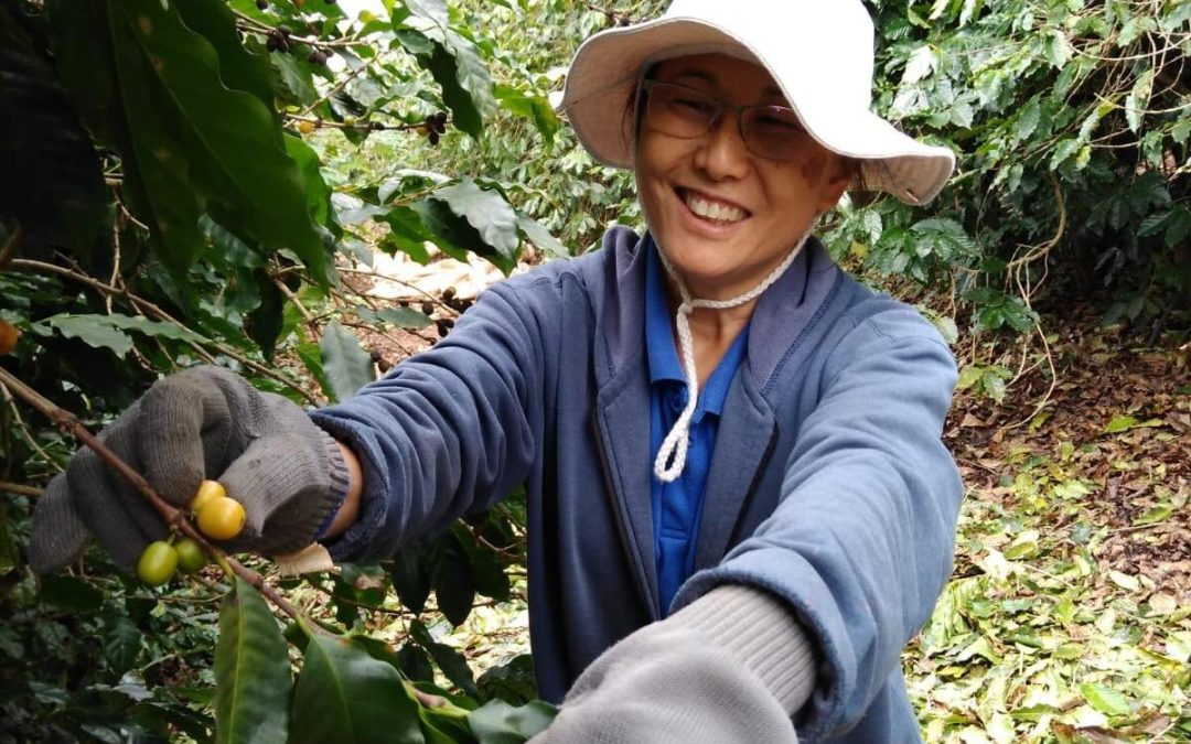 Fazenda Nakamura