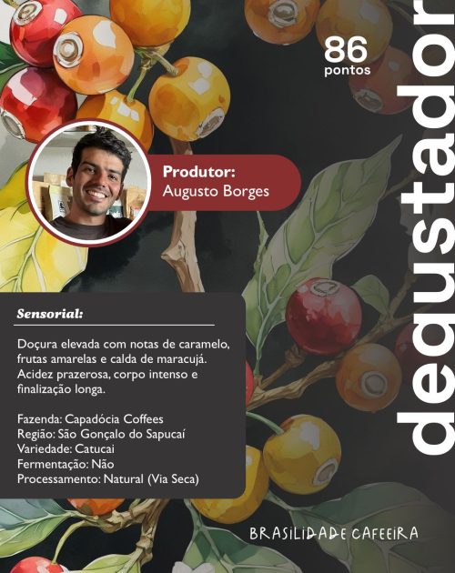 Fazenda Capadocia Catucai - Junho/2025