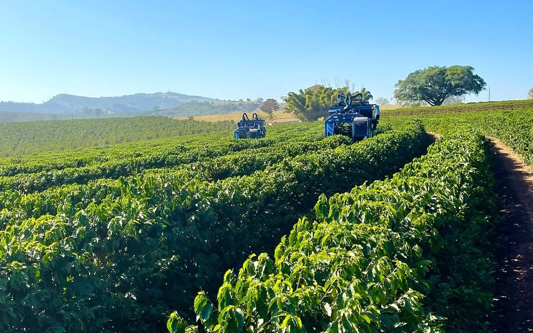 Fazenda Terra Nova – Edição Agosto/2025