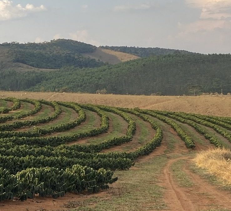 Fazenda Contendas – Setembro/2025