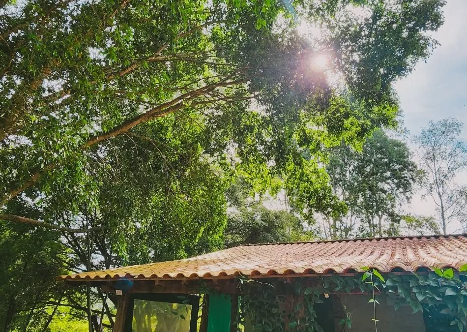 Fazenda dos Tachos – Edição Setembro/2025