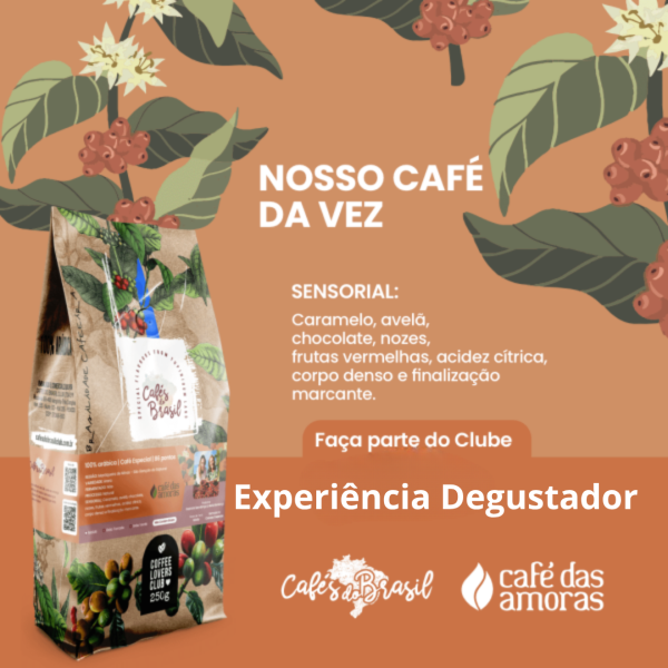 Fazenda Cafés das Amoras -Dezembro/2024