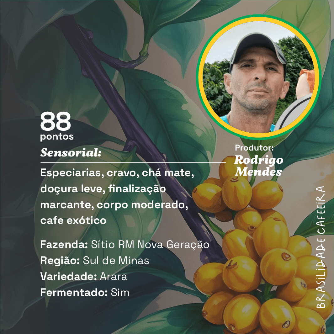 Sítio RM Nova Geração - Fevereiro/2025