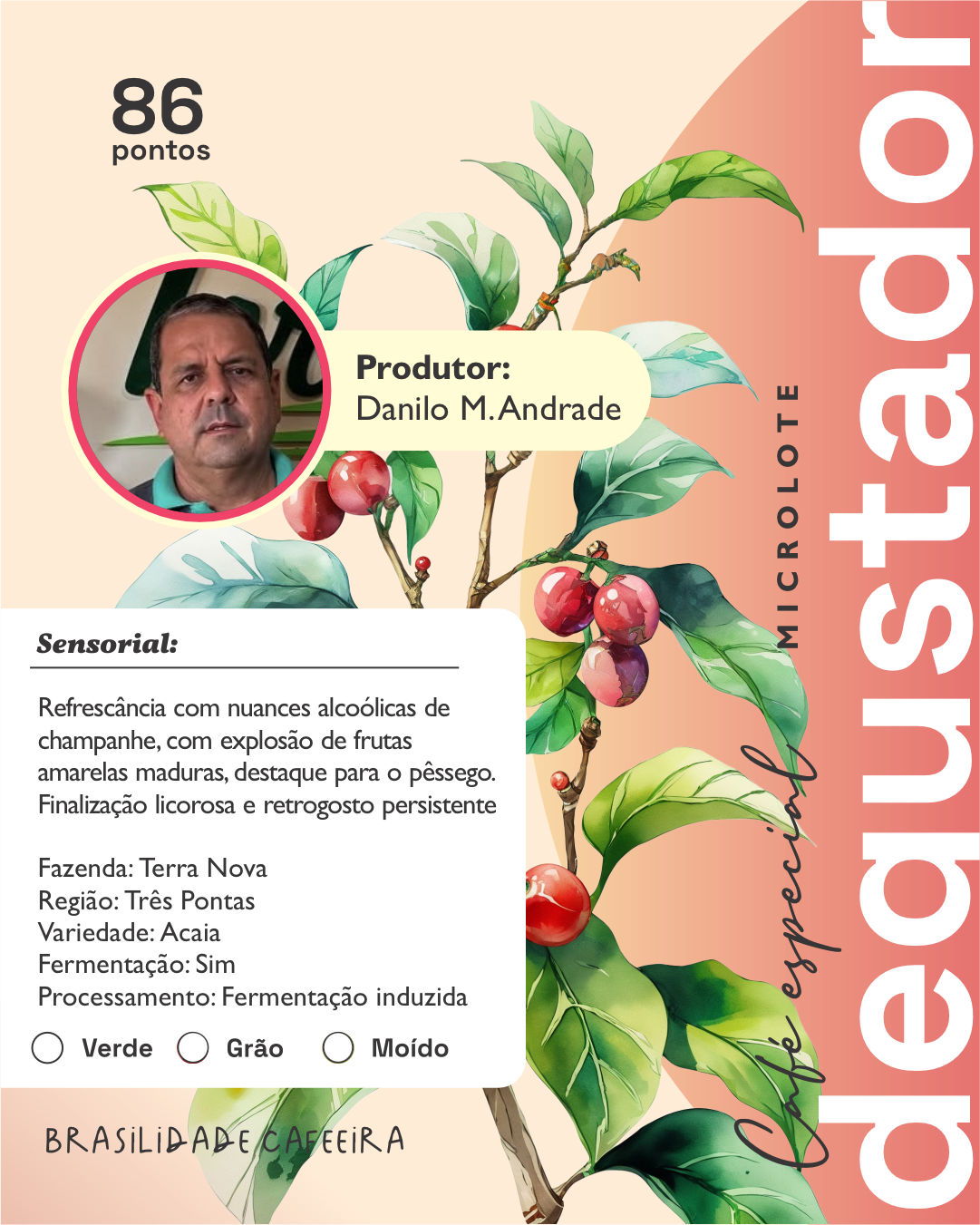 Fazenda Terra Nova - Agosto/2025