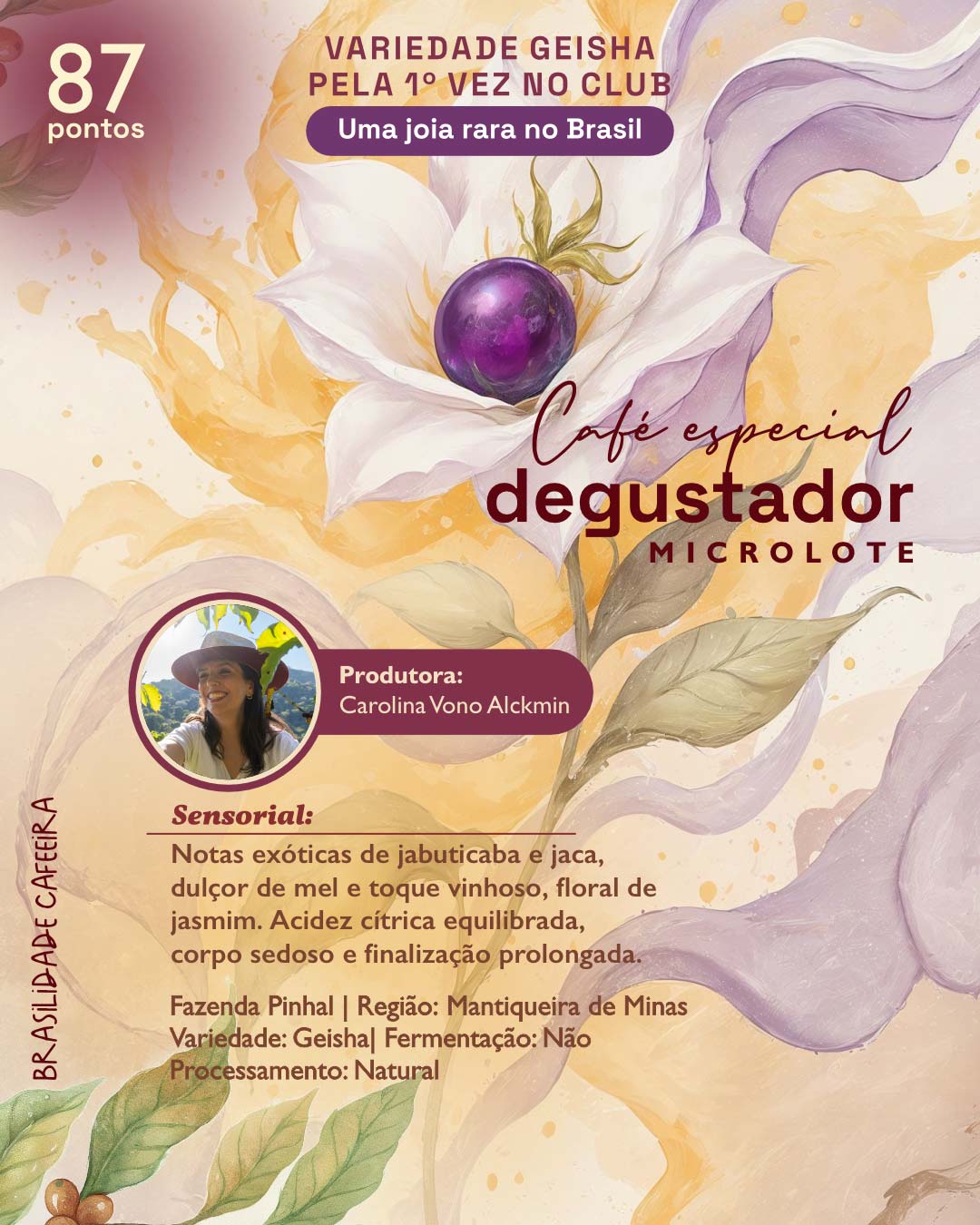 Instagram-Degustador-4