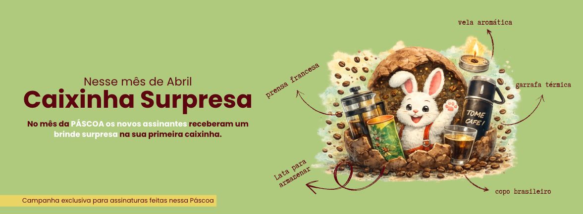 WhatsApp Image 2026-04-01 at 15.58.51