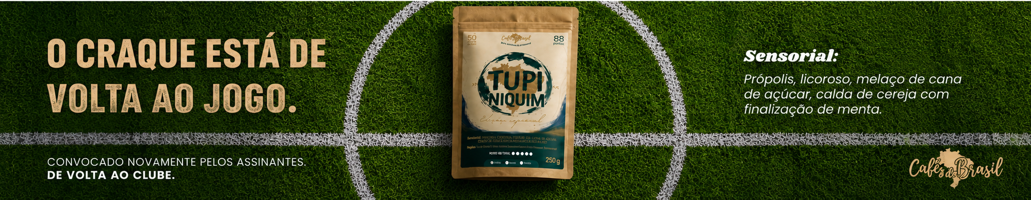 Tupiniquim_banner